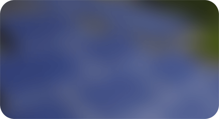 Solar-Panels-On-The-Roof-Texas-Blur